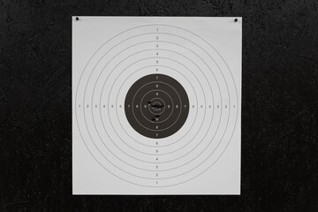 Round paper shooting target with an excellent, tight bullet grouping in the central bullseye.