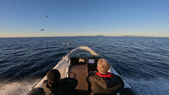 Common dolphins pass in front of small boat slow motion.