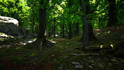 Sunlight streams through the vibrant green leaves, casting dappled light on the forest floor. Tall trees create a serene atmosphere, inviting exploration and quiet reflection in nature.