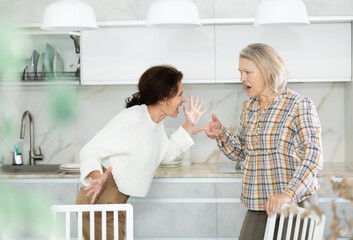 Fototapeta premium Relatives quarrel in the kitchen - an adult daughter quarrels with an elderly mother