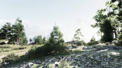 Obraz premium Amidst a serene forest, sunlight filters through trees while a beautiful path leads to stunning mountain vistas. Nature’s calm envelops the area, inviting peaceful exploration.