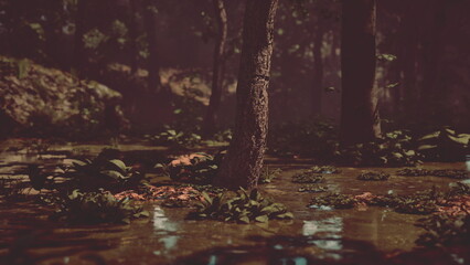 Shadows dance among tall trees as twilight settles over a tranquil forest. The ground is alive with green plants, and water reflects soft hues of dusk, creating a peaceful atmosphere.