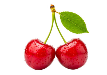 Two red cherries with water droplets isolated on transparent background, closeup view