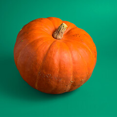 pumpkin on a green background