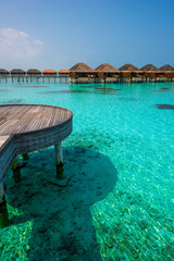 Tranquil closeup calm sea water waves with palm trees. Bungalows background. Tropical island beach landscape exotic shore coast. Summer vacation, holiday amazing nature. Relax paradise, Maldives.