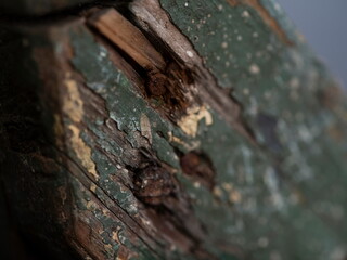 Close-up macro of weathered wood showing layers of peeling paint and texture