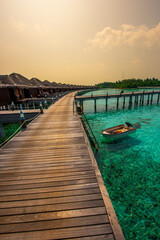 Fototapeta premium Tranquil closeup calm sea water waves with palm trees. Beautiful Sunset Panorama, Tropical island beach landscape exotic shore coast. Summer vacation, holiday amazing nature. Relax paradise, Maldives.