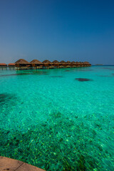 Fototapeta premium Tranquil closeup calm sea water waves with palm trees. Bungalows background. Tropical island beach landscape exotic shore coast. Summer vacation, holiday amazing nature. Relax paradise, Maldives.