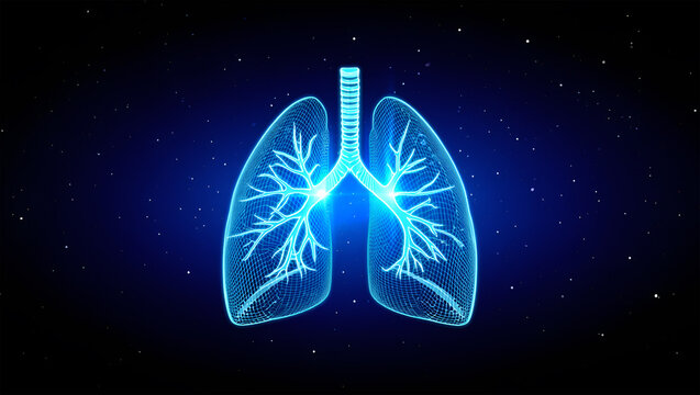 Glowing blue wireframe lungs in starry darkness respiratory anatomy