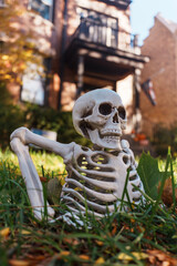 A playful plastic skeleton sits in green grass with a brick house and steps in the background, creating a spooky yet whimsical Halloween or décor stock image.