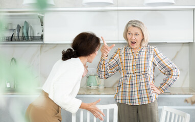 Obraz premium Relatives quarrel in the kitchen - an adult daughter quarrels with an elderly mother