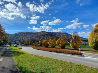 yellow trees and Pohorje under blue sky. Street in Maribor. Autumn season in Slovenia.