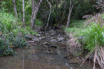 Moanalua Valley Trail , Honolulu, Oahu, Hawaii. Moanalua Stream. Older alluvium. Sand and gravel