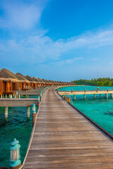Tranquil closeup calm sea water waves with palm trees. Deck with bungalows. Tropical island beach landscape exotic shore coast. Summer vacation, holiday amazing nature. Relax paradise, Maldives.