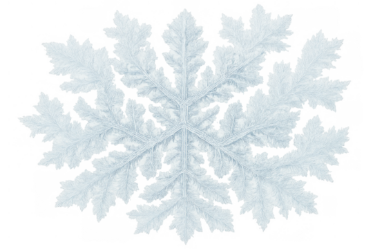Unique natural snowflake creating a delicate symmetrical winter ice crystal structure on transparent background