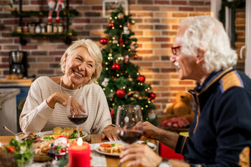 Senior couple enjoying christmas dinner together