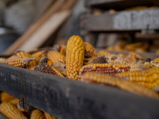 Weathered wooden crates containing dried corn cobs and loose kernels in shallow depth of field