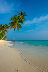 Tranquil closeup calm sea water waves with palm trees. Swing on the tree. Tropical island beach landscape exotic shore coast. Summer vacation, holiday amazing nature. Relax paradise, Maldives.