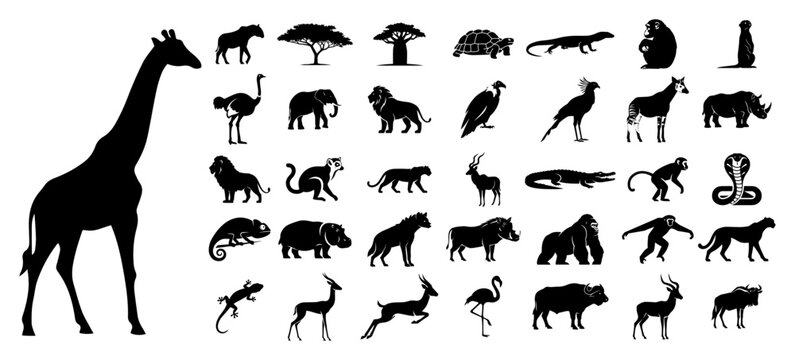 African Safari Animals Silhouette Set Wildlife Icons Vector Collection