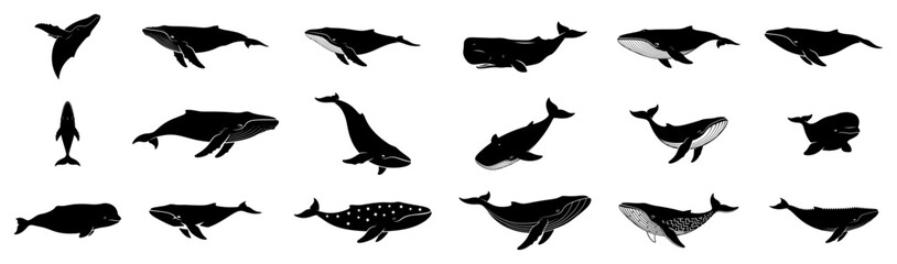 Big Collection of Whale Silhouettes. Vector Marine Mammal Icon Set.