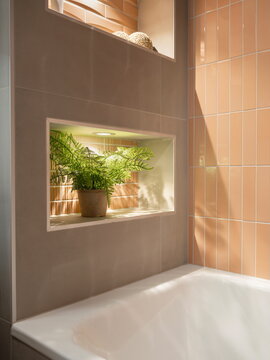 Recessed wall niche with backlit fern plant in terracotta pot against warm tile backdrop