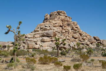natural pyramid made off stone or rock outcrop formation in the American southwest desert with cactus succulents and shrubs dotting the landscape