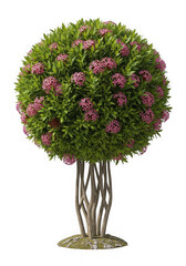 Ornate topiary tree with pink flowers isolated on transparent background