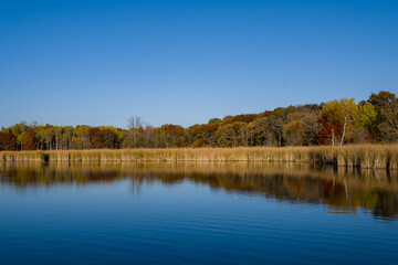 fall colors reflected in a pond