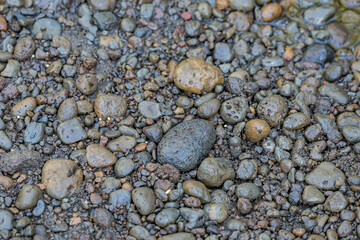 Moanalua Valley Trail , Honolulu, Oahu, Hawaii. Moanalua Stream. Older alluvium. Sand and gravel