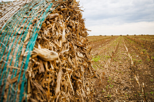 Detailed view of hay bale structure on harvested field. Concept of sustainable agriculture, farming, and rural landscape