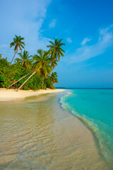 Fototapeta premium Tranquil closeup calm sea water waves with palm trees. Beautiful Panorama, Tropical island beach landscape exotic shore coast. Summer vacation, holiday amazing nature. Relax paradise, Maldives.