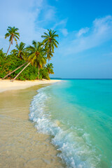 Fototapeta premium Tranquil closeup calm sea water waves with palm trees. Beautiful Panorama, Tropical island beach landscape exotic shore coast. Summer vacation, holiday amazing nature. Relax paradise, Maldives.