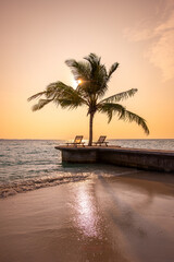 Fototapeta premium Tranquil closeup calm sea water waves with palm trees. Beautiful sunset panorama. Tropical island beach landscape exotic shore coast. Summer vacation, holiday amazing nature. Relax paradise, Maldives.