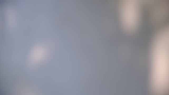 Soft blurred shadows on white. Sunlight, motion,overlay shadow on white background. Minimal style, copy space, template. Delicate aesthetic. Video transition. Presentation, multiple exposure