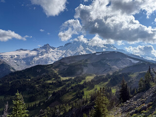 Obraz premium Spectacular view of pine trees and glaciers mountains in Mount Rainier National Park.USA, Washington.USA, Washington july 22 2025.