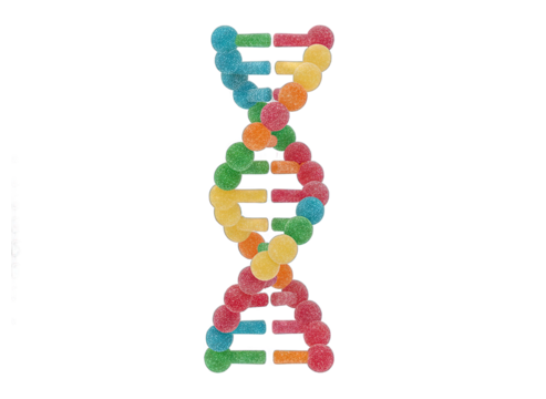 Colorful DNA Double Helix Molecule Structure Made of Small Spheres and Dots on Transparent Background Represents Genetics and Science Research