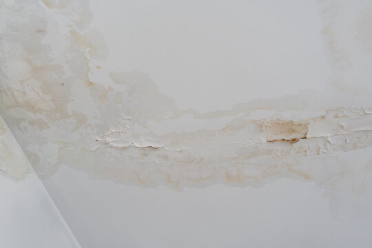 Water stains on damaged ceiling. Concept of home neglect and costly consequences of hidden water leakage.