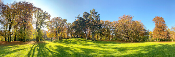 Autumn trees and sunny meadow with colorful foliage in a park, Concept: Building land for new construction project, plot for construction area with modern residential buildings and detached houses