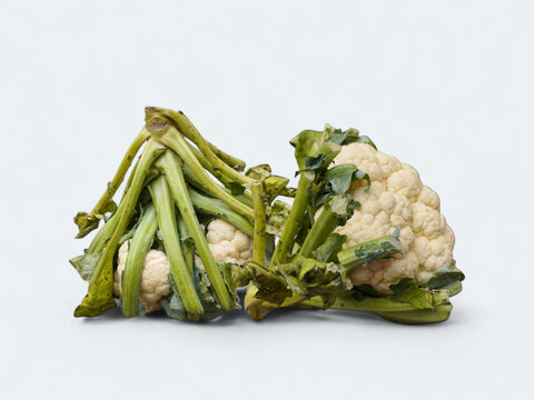 Cauliflower Florette Pieces with Stems Isolated