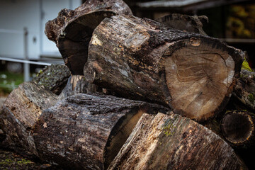 A curious brown horse peeks out from behind a stack of logs, creating a rustic and charming scene.