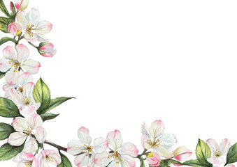 Watercolor frame with apple tree flowers and green leaves. Delicate white and pink flowers on a white background. Perfect for wedding and invitation decorations. Space for text.
