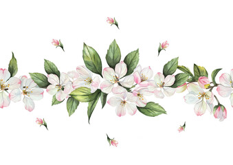 Seamless watercolor border. Blooming apple tree branch. Botanical illustration with delicate flowers and green leaves. Isolated on white background. For textiles, cards, weddings