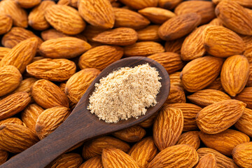 Prunus dulcis - Raw organic almond flour in a spoon