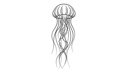 Detailed line drawing of a jellyfish with long flowing tentacles on white background