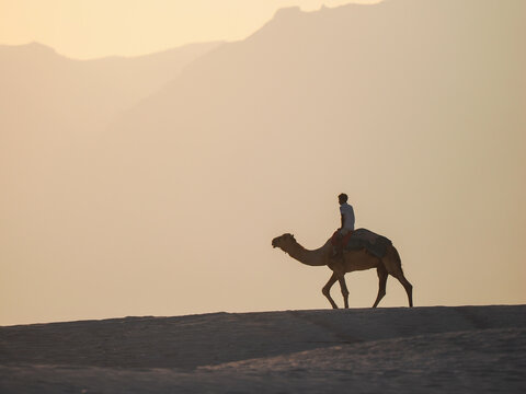 Camel rider in desert at sunset with mountains and warm orange light
