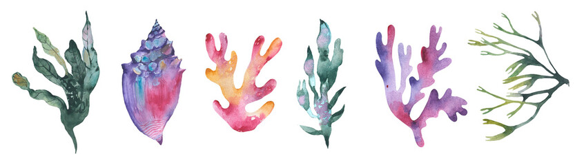 Set of watercolor seaweed and corals isolated on white