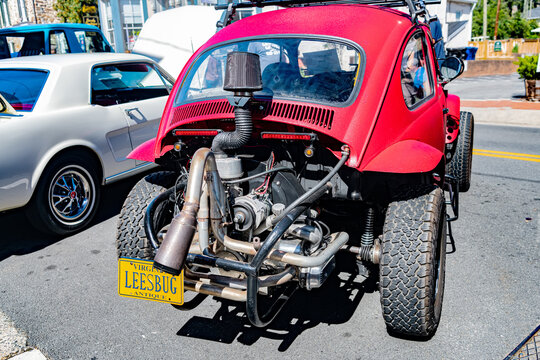 Classic Beetle Baja with roof rack and custom paint job rear view.