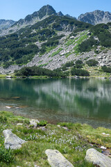Pirin Mountain around Muratovo Lake, Bulgaria