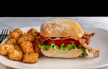 blt sandwich  served with tater tots