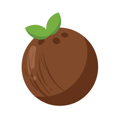Brown coconut with two green leaves, perfect for tropicalthemed designs, food and beverage concepts, natural skincare products, and summer promotions.